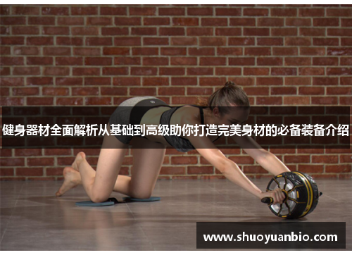健身器材全面解析从基础到高级助你打造完美身材的必备装备介绍